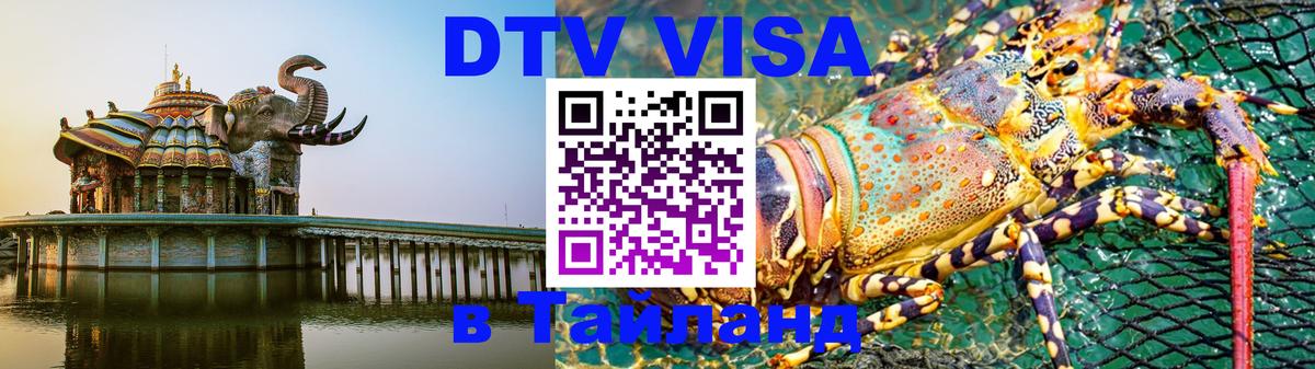 Сколько стоит DTV виза — актуальные цены, оформление даже без документов - 19.11.2025 